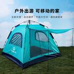 帐篷四季户外野餐钓鱼便携式遮阳速开帐