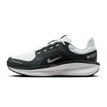 女子W AIR WINFLO 11 GTX运动训练跑步鞋FQ1359-004