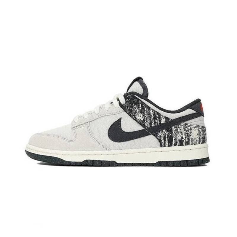 男子NIKE DUNK LOW RETRO SE运动休闲鞋IB7720-110