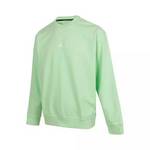 男子DFCSVRPO运动休闲套头衫卫衣FV8625-376