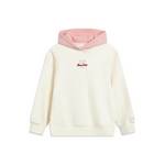 套头加绒女童宽松连帽卫衣YWDV294-2